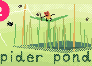spider ponds