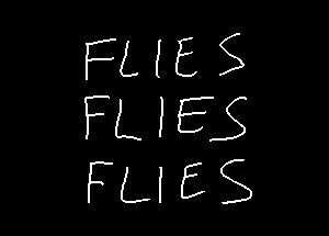 FLIES FLIES FLIES