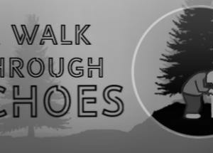 A Walk Through Echoes