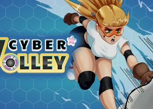 Cyber Volley