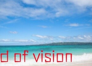 field of vision