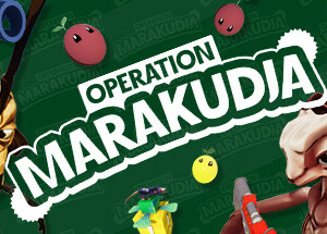 Operation Marakudja
