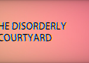 InTheDisorderlyCourtyard