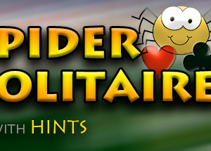 Casual Spider Solitaire