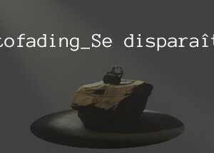 Autofading_Se disparaître