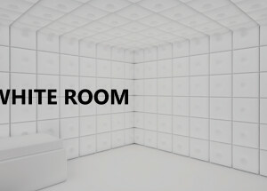 The White Room